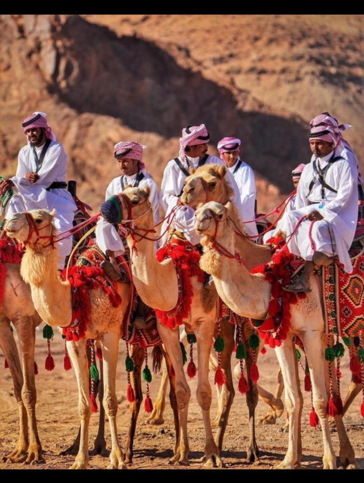 Mozoon Camp Hotel Wadi Rum Bagian luar foto